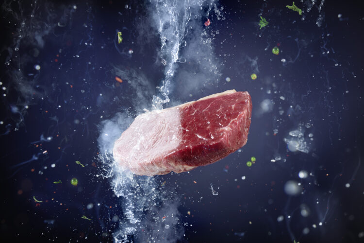 Linde_Fleisch_LL_V6_150dpi