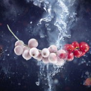 Linde_Beeren_LL_V4_150dpi thumbnail