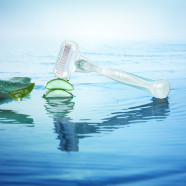 VENUS_EMBRACE_SENSI_SYS thumbnail