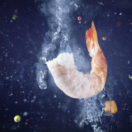 Linde_Shrimp_LL_V6_150dpi thumbnail